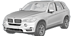 BMW F15 P207B Fault Code